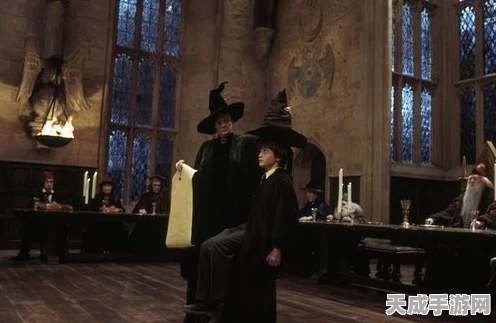 哈利波特魔法觉醒深度解析，罗恩·韦斯莱角色魅力与抽卡策略全揭秘