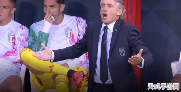 FIFA足球世界，揭秘高手必知的隐藏技巧与战术细节