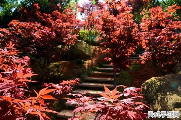 江南百景图红碧桃花获取攻略，解锁绝美景观的秘籍