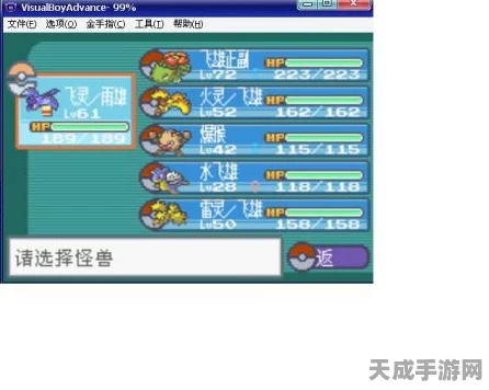 口袋妖怪叶绿版，解锁属性威力道具的终极攻略