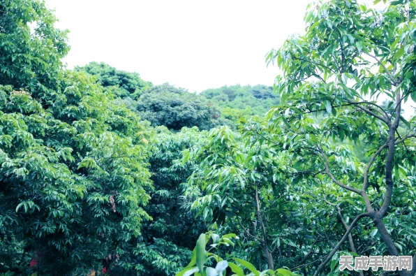 保卫萝卜4饿龙传说首关揭秘，详尽通关秘籍助你轻松启程