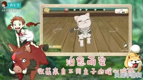小森生活，萌宠猫咪领养全攻略，打造你的温馨田园梦