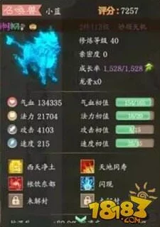 大话西游手游，麒麟加点攻略大揭秘，打造最强神兽伙伴！
