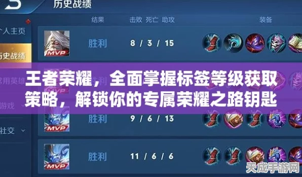 王者荣耀全国99强荣耀标章获取秘籍，解锁顶尖玩家的竞技之路