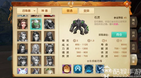 天下手游云麓50级进阶攻略，解锁宠物加护与装备强化秘籍