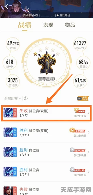 王者荣耀助手深度解析，轻松掌握好友战绩，揭秘对战精彩瞬间