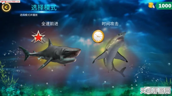探秘创造与魔法，鲨鱼心脏的神秘用途与游戏深度解析