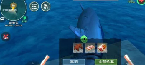 探秘创造与魔法，鲨鱼心脏的神秘用途与游戏深度解析
