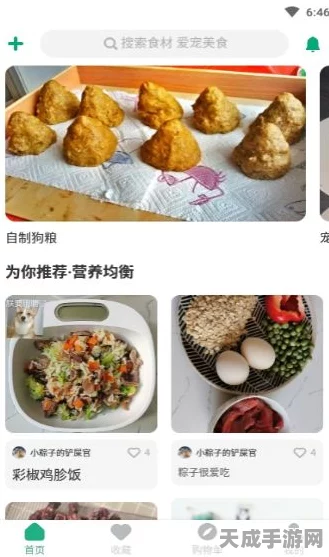 妄想山海宠物美食家，宠物食物制作秘籍大公开，打造专属营养餐！