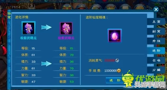 新苍穹之剑，宠物进阶秘籍，紫色迈向橙色之路全解析