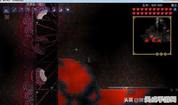 泰拉瑞亚，揭秘星尘龙变长秘籍，打造最长神龙传奇！
