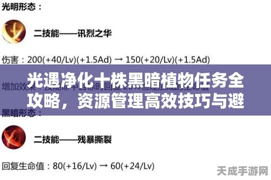 光遇攻略秘籍，轻松解锁净化十株黑暗植物的高效技巧
