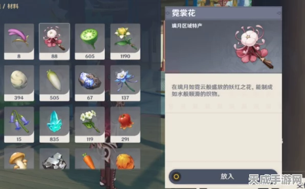 原神珍稀材料揭秘，何人所珍藏之花归属与获取全攻略