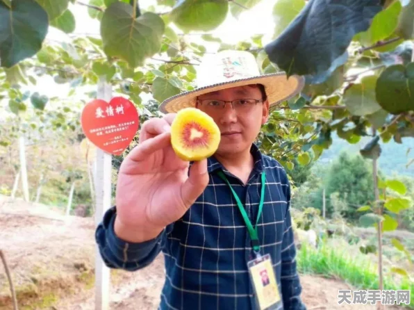 不思议迷宫第13期挑战迷宫迷雾森林深度攻略，技巧与策略助你征服难关