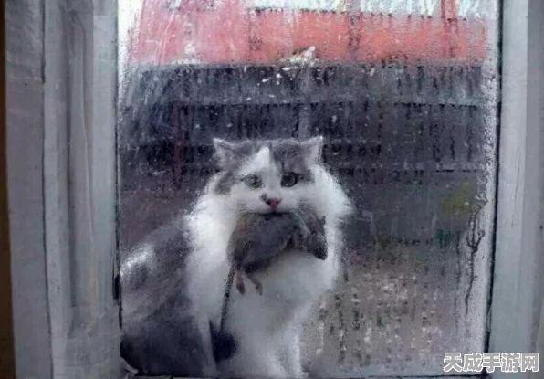 怪物猎人X深度解析，猎猫技能全攻略，解锁狩猎新境界