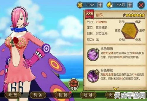 航海王燃烧意志，解锁新世界布鲁克加点秘籍，打造无敌阵容攻略