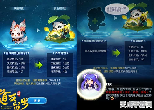 玄龟镇海录震撼登场！道友请留步新宠物强度全面解析