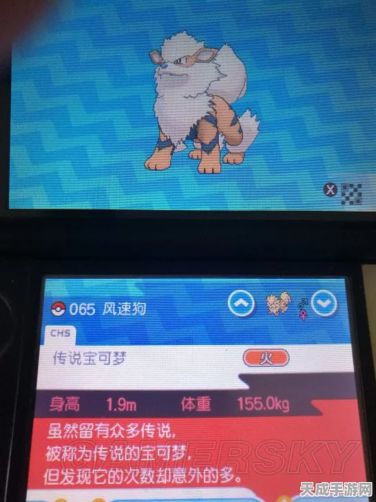 口袋妖怪X，高效捕捉神秘犬宠的实战攻略