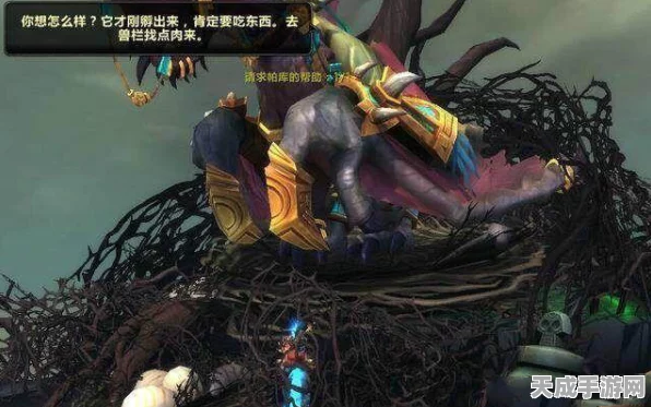 魔兽世界高手秘籍，解锁视角宏的极致操作指南