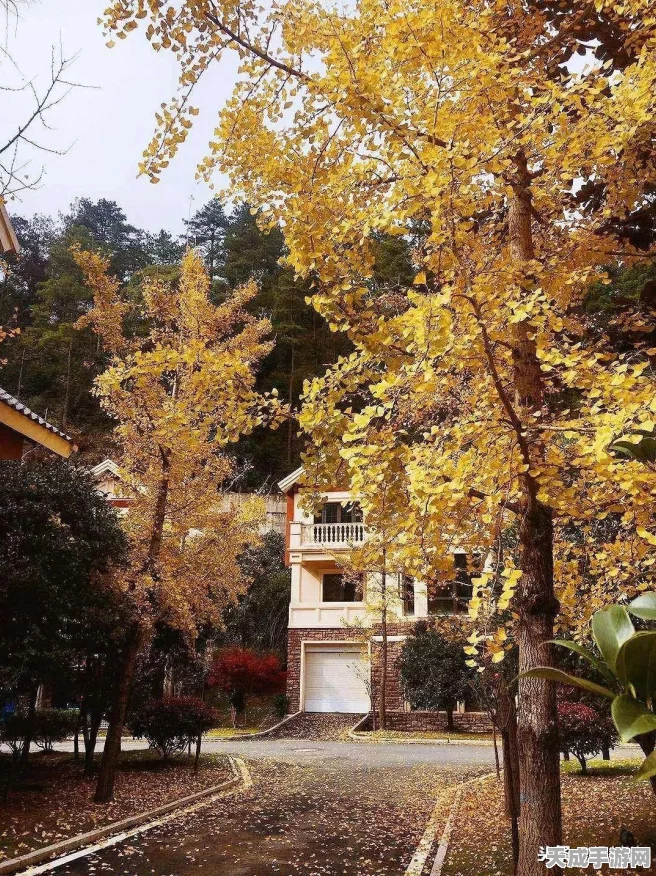 地下城堡2，揭秘图15隐秘入口，探险攻略全解析
