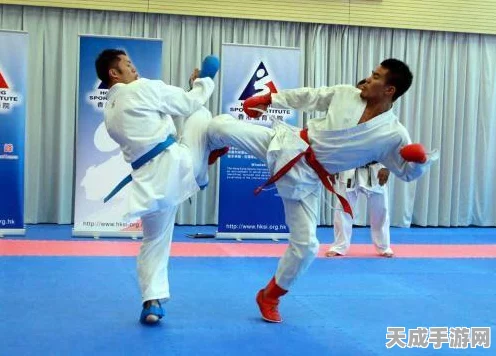 模拟江湖深度解析，全角色经历汇总与精彩瞬间回顾