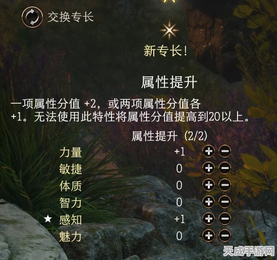 博德之门3深度攻略，武僧技能选择与加点优化策略