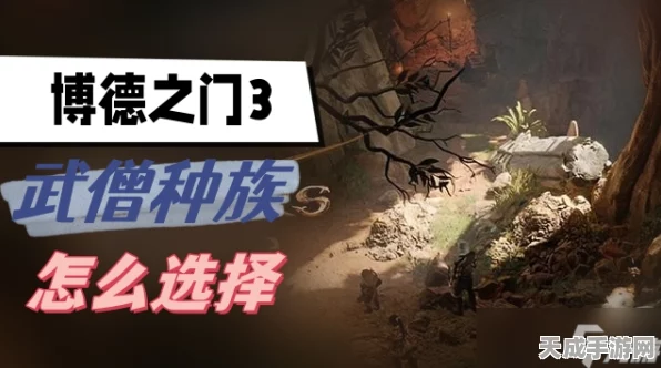 博德之门3深度攻略，武僧技能选择与加点优化策略