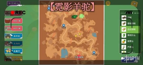 小森生活，揭秘羊驼毛卷制作秘籍，打造梦幻家园新装饰