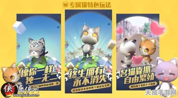 一起来捉妖猫咪上链全攻略，解锁萌宠新玩法，打造专属链宠！