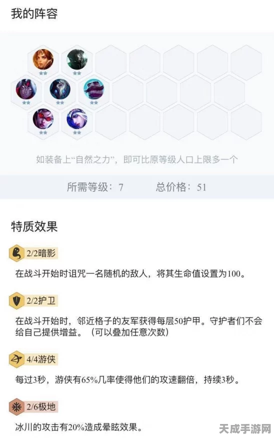 云顶之弈战术揭秘，护卫暗影游侠流实战攻略与细节剖析
