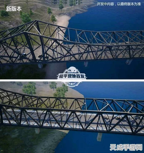 和平精英进不去？原因分析与最新动态揭秘