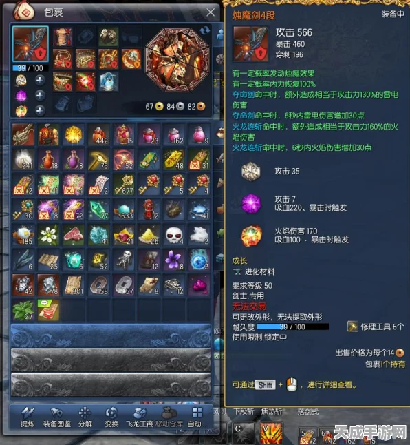 剑灵剑士成长攻略，烛魔首饰后，建元毁灭灵核升级与首饰选择深度解析