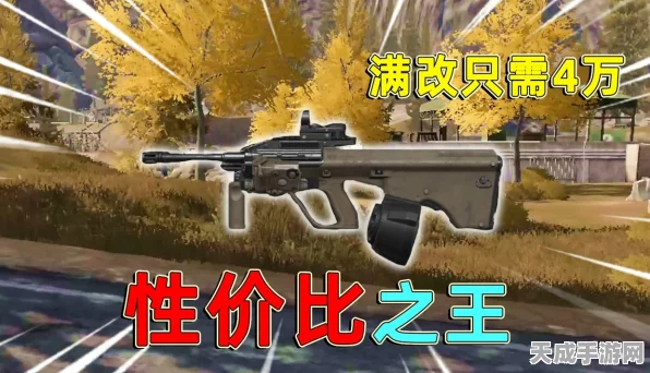 暗区突围，揭秘性价比之王，稳健枪械大揭秘