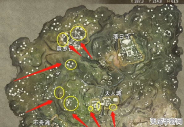 永劫无间火罗国探险，揭秘许愿井地图宝藏位置与玩法攻略