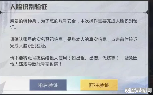和平精英刷脸验证重置攻略，轻松解决验证难题，畅享游戏乐趣