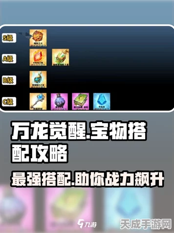万龙觉醒，顶尖玩家揭秘强力宝物搭配攻略