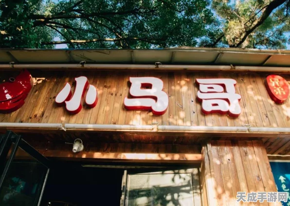 和平精英和平小店年度返场大揭秘，次数、规律与惊喜商品一网打尽