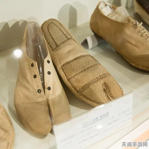 老树新芽，上古世纪复兴之路的深度剖析与赛事亮点