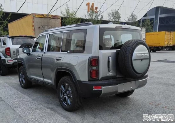老树新芽，上古世纪复兴之路的深度剖析与赛事亮点