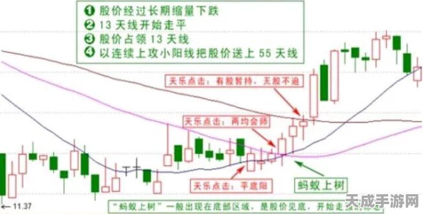 三国志13顶尖战法深度解析，谁主沉浮？
