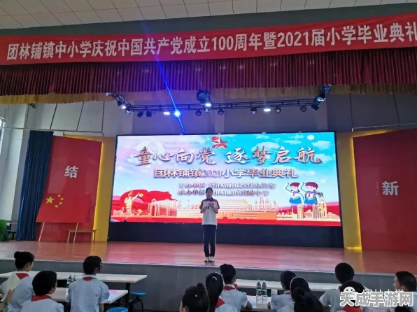 王者征途新服启航，首日速成指南与高效升级攻略