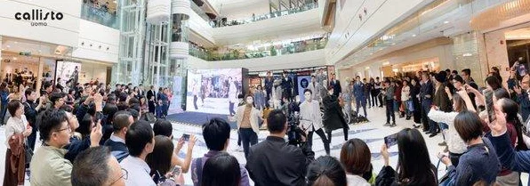 口袋妖怪无界深度解析，掌握Z招式，主宰战场新纪元