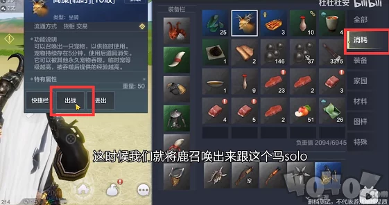 妄想山海宠物速升秘籍，揭秘高效升级新策略