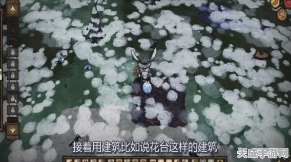 饥荒风滚草惊喜揭秘，解锁稀有图纸大揭秘