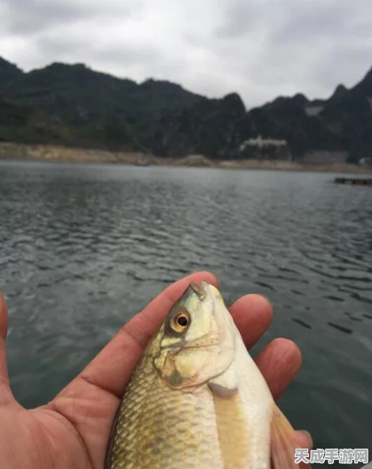 小森生活，精通大马哈鱼垂钓技巧，解锁钓鱼高手成就