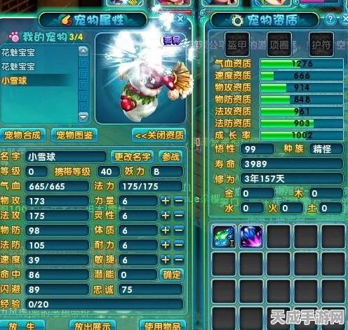 梦幻诛仙手游，揭秘小雪球的珍稀获取途径与趣味玩法