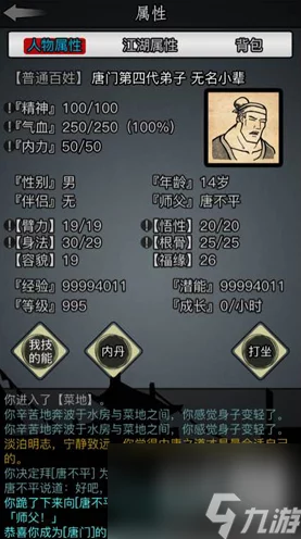 放置江湖唐门武功绝配攻略，打造无敌刺客之路