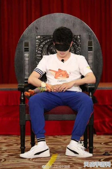 少年三国志2深度攻略，顶尖军师搭配策略揭秘