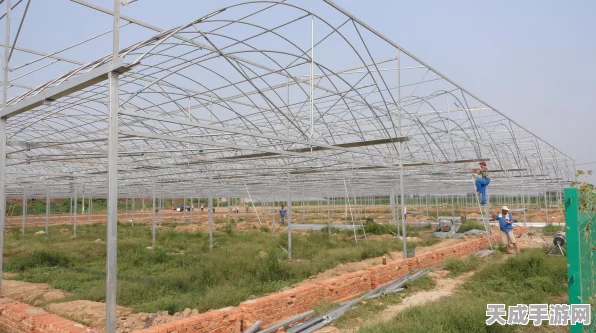 解锁模拟农场22温室自动化新境界，作物自动售卖全攻略与高效运营秘籍