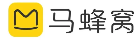 王者荣耀星会员图标揭秘，解锁专属荣耀，探索游戏新境界